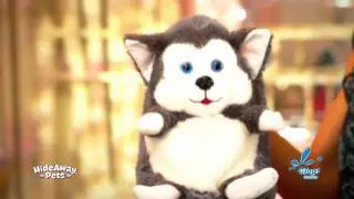 Hideaway Pets - Gasco Juguetes