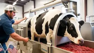 Inside Australia&rsquo;s Modern Cowhide & Beef Processing Plant