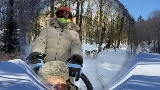 ❄️🐕 We Got a Taste of The DOG SLEDDING with SIBERIAN HUSKIES! 🐕 ❄️ | 🙂 Happy Time 🙃
