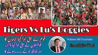 Tiger Force Vs Doggies