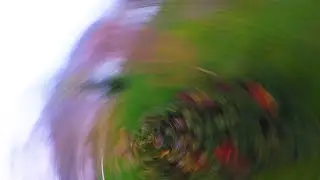 Freestyle FPV // FalcoX // Escapade // Karearea Toa 2207 2450kv