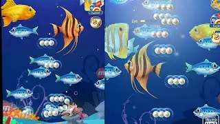 Clipclap Online earning App - Fish game - #2021