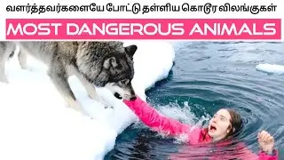 வளர்த்தவர்களை போட்டு தள்ளிய கொடூரமான விலங்குகள் | Adapted wild animals attack tamil facts