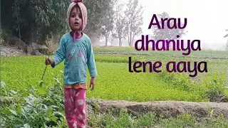 Arav manta nhi 