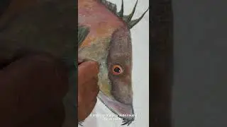 Gyotaku - Hogfish from North Carolina?!?! 😱  #obxnc #coastalnc #gyotaku #art #fishpirint #hogfish