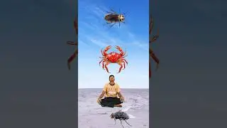 16 August 2025 funny vfx 🤯 #vfx #shorts #tending #comedy 💞😂