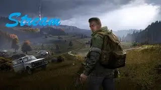 DayZ играем на  PVE/PVP