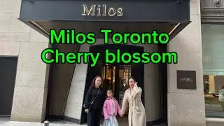 estiatorio Milos Toronto May 4th 2025 best Greek restaurant