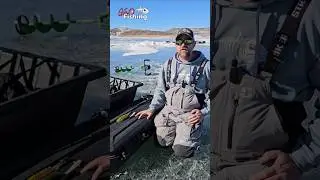 Tube Jig Color Selection Open Water & Ice Fishing - GSO Fishing #jigfishing #verticaljigging