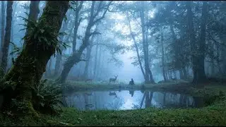 Midwest Emo Instrumental &ndash; Soft Guitar for Late Night Feelings
