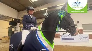 Petplan Prelim Silver Freestyle Summer Area Festival Champion: Andrea Sparkes & Kazan