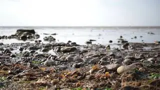 SAND by Donald Bousted