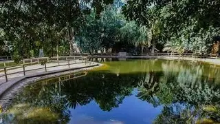 BISKRA [#5] Landon Garden. 😍 حديقة لاندو الساحرة بمدينة بسكرة