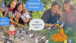 OMG जङलमा 2PM बनाएर खादा बख्राले सबै खाइदियो😭😂😭😂🐐🐐