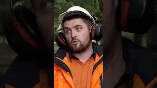 Wanted: arborists, tree care workers and apprentices (jobs video)