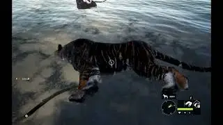 Diamond Lion Rare Bengal Tiger | Vurhonga Savanna | Sundarpatan | theHunter Call of the Wild