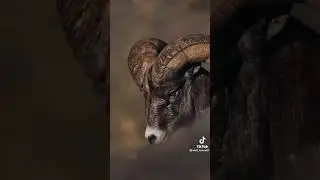 subscribe me