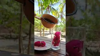 Ch&aacute; de Bougainville  #chanatural #lencoismaranhenses #atins