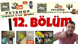 PET SHOP KURUYORUZ 12. BÖLÜM TABELALAR GELDİ