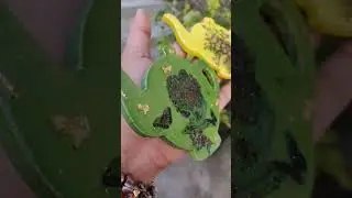 handmade tea coasters for full video visit my channel #handmade #coaster #shorts #craft #diy
