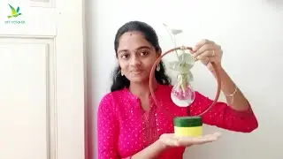 DIY Floating Plant Stand | Minimalist Home Decor Tutorial