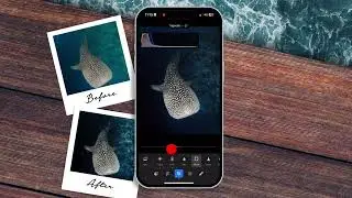 How to edit your underwater Gopro Photos on Lightroom Mobile | for Beginners | No commentary
