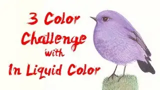 3 Color CHALLENGE Collaboration with IN LIQUID COLOR - (WATERCOLOR Speed Painting)