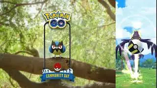 Most Productive Rookidee Community with Shiny and High IV! (Pokemon Go)