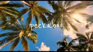 Peekaboo (Explicit) - Julius Wilson Ft LG Malique