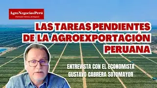 Economista advierte:  la agroexportación no debe caer en el mismo error de las mineras
