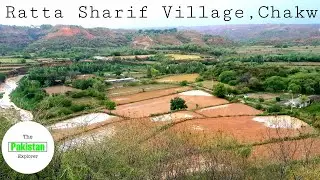 Ratta Sharif Village, Chakwal |Village Life In Pakistan| |Village life in Punjab, Pakistan|