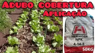How to Fertilize Your Garden Correctly &ndash; Tips and Real-Life Applications