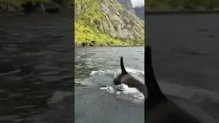 Amazing landscapes of Norway.You Tube # Shorts