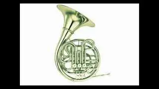 Joseph Reicha 2Horn concerto 1
