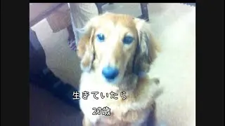 ちゃんと会話していた子の話