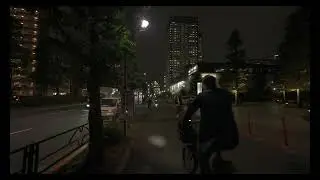 Tokyo Toyosu Station Night walk around ③【4K HDR 60p】