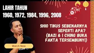 Kenapa Orang Shio Tikus Susah Percaya Orang Lain? (Psikologi + BaZi) #ShioTikus