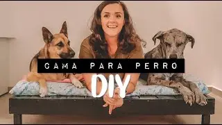 IDEA DIY para hacer una CAMA PARA PERROS 🐶 ¡Consiente a tu mascota!