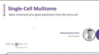 Single-Cell Multiome - Open chromatin plus gene expression from the same cell.