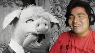 REACCIÓN [YTPH] el origen de la gripe marrana