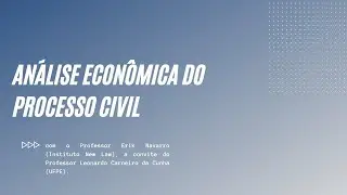 An&aacute;lise Econ&ocirc;mica do Processo Civil