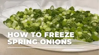 How to Freeze Spring Onions - No More Wastage - Money Saving Tip!