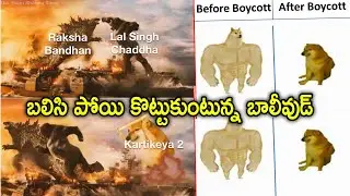 #BoycottBollywood Twitter Trend Reasons | TrendsetterTelugu
