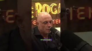 Trump Criticizes Political Leaders on Homelessness and Public Health | Joe Rogan Podcast
