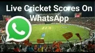 Live ipl score on what's app!!Live cricket update!! Entertainment & technology