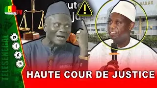 Proc&egrave;s devant la HCJ : Assane Samb d&eacute;voile les avantages et inconv&eacute;nients de Mansour Faye et Cie