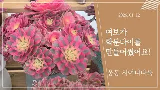 2026.01.12 여보가 화분다이를 만들어줬어요!
