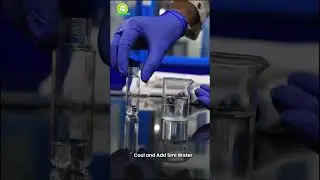 🔬 FAME Analysis by Gas Chromatography (GC) Part 2