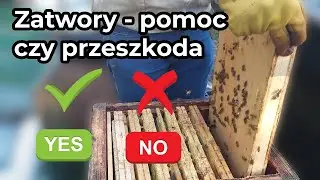 Pszczoły we wrześniu &ndash; czy zatwory pomagają