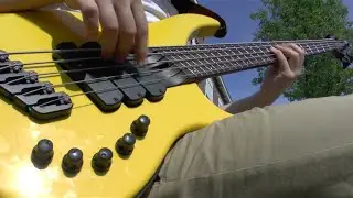 RHCP - Dark Necessities (Bass cover by Werner Erkelens)